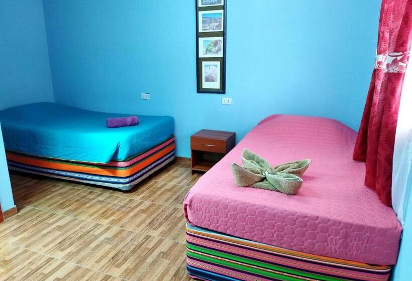 ペンション Hostal El Amigo Lucho