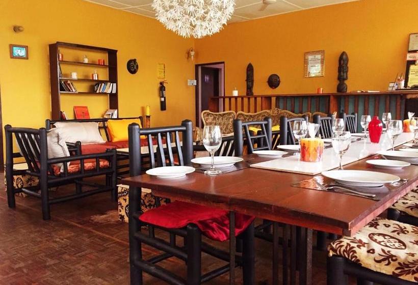 پانسیون Kokodo Guest House