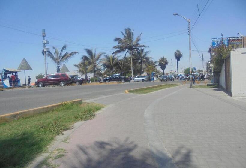 膳宿费 Lola Hosting