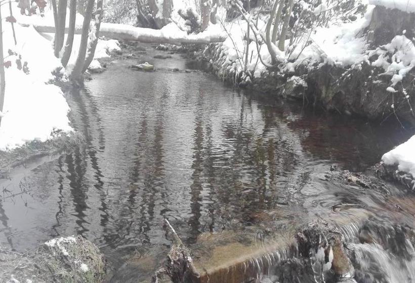 Пансион Penzion V Zelený