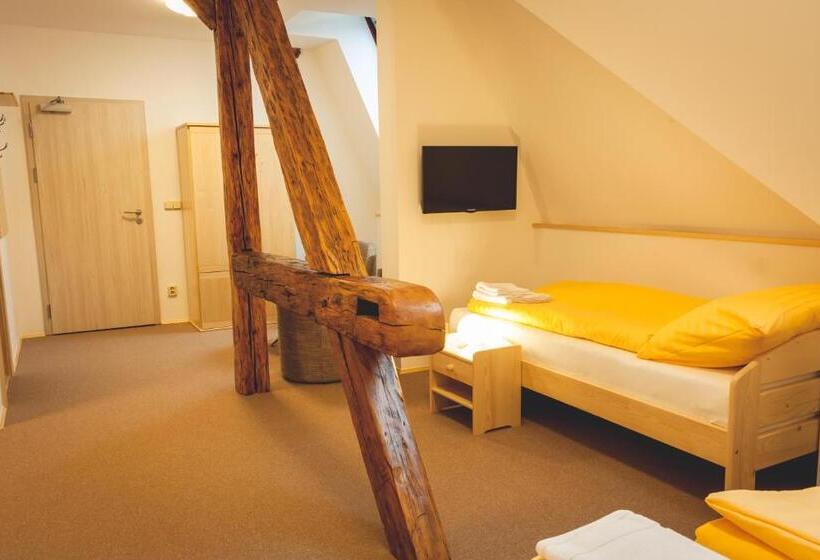 Panzió Penzion Vila Machů