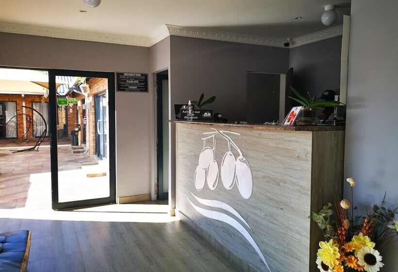 פנסיון The Green Olive Guesthouse