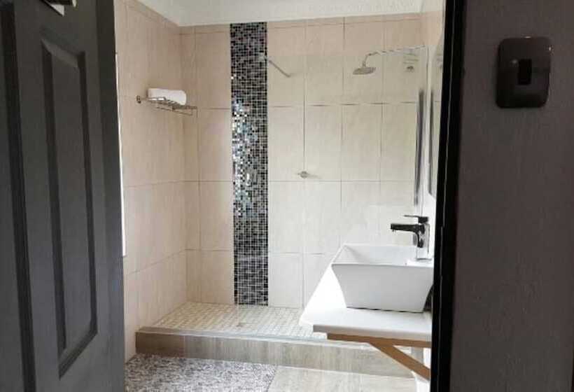 פנסיון The Green Olive Guesthouse