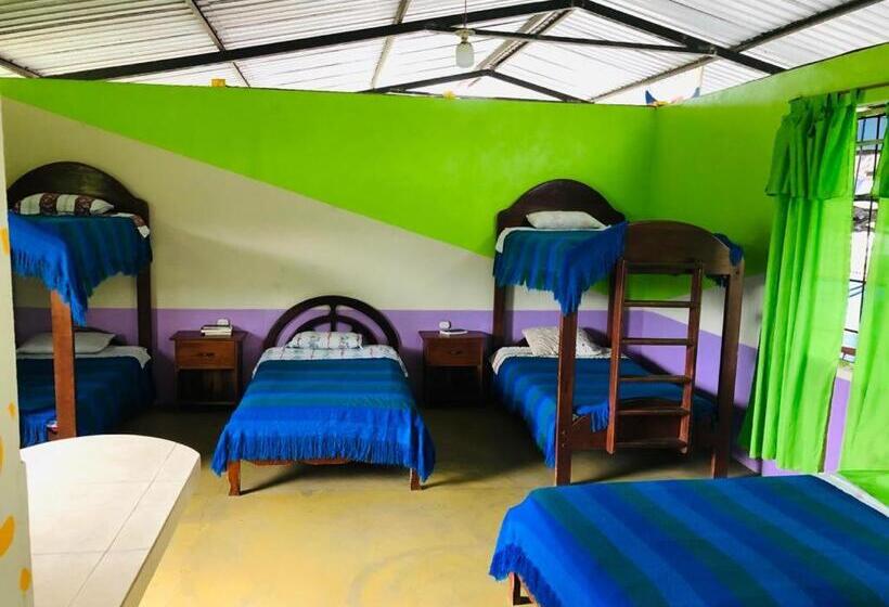 پانسیون Zumag Sisa