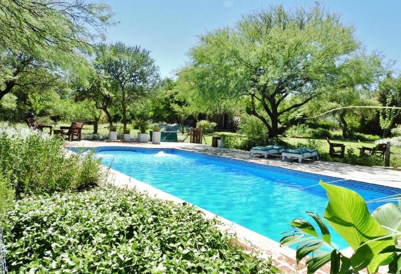 Общежитие Posada Terracota