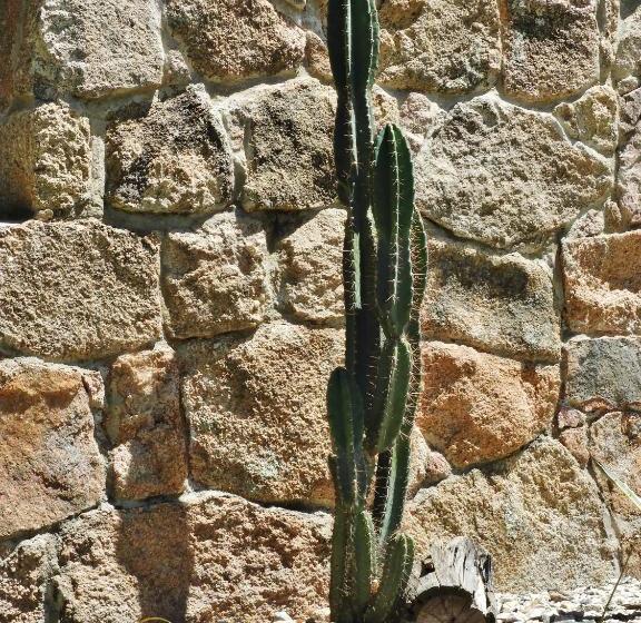 Общежитие Posada Terracota