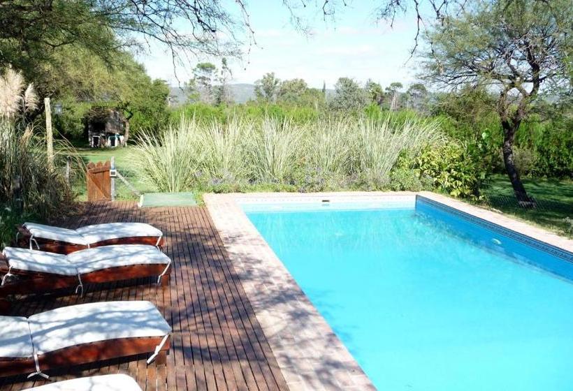 Общежитие Posada Terracota