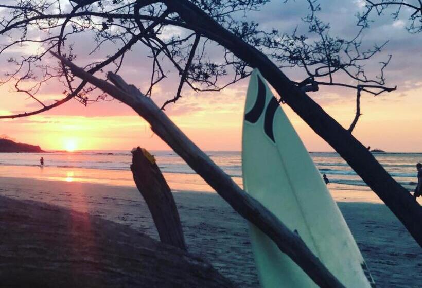 호텔 Tamarindo Sunshine