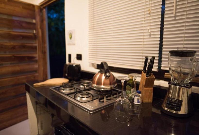 호텔 Tamarindo Sunshine