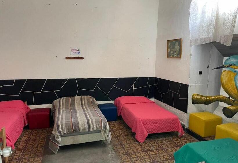 بنسيون Garden Guest House