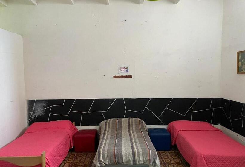 بنسيون Garden Guest House