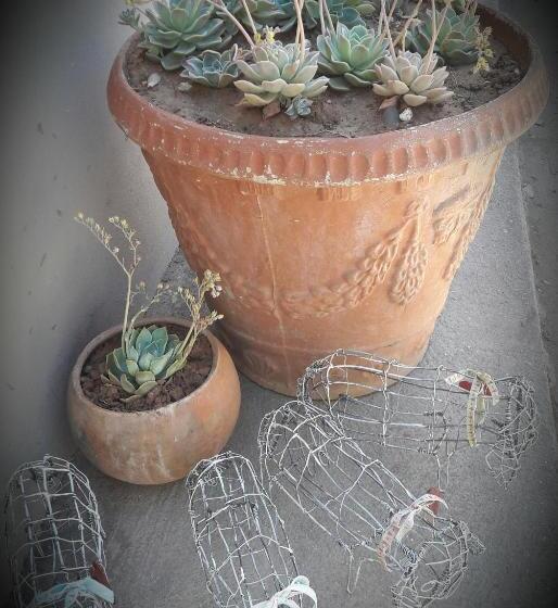 פנסיון Karoo Inn