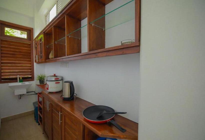 Пансион Renuka Inn