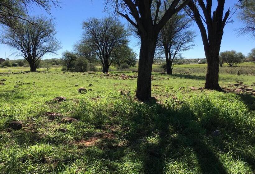 ペンション Villa Lin Zane