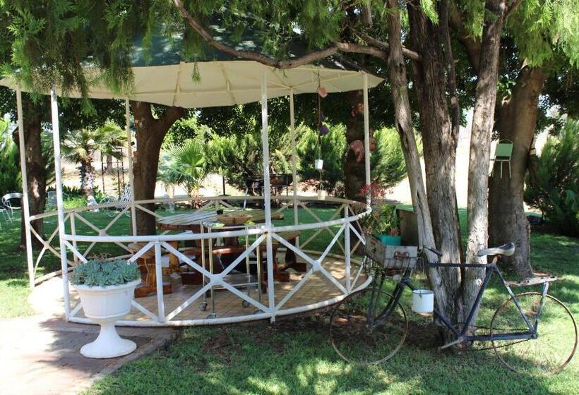 ペンション Villa Lin Zane