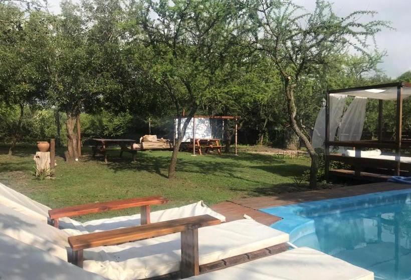 호스텔 Cabañas Lignum   Tiny House