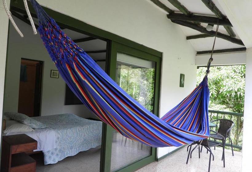 호스텔 Duck House