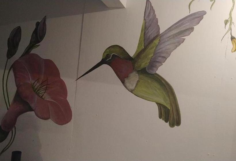 호스텔 Duck House