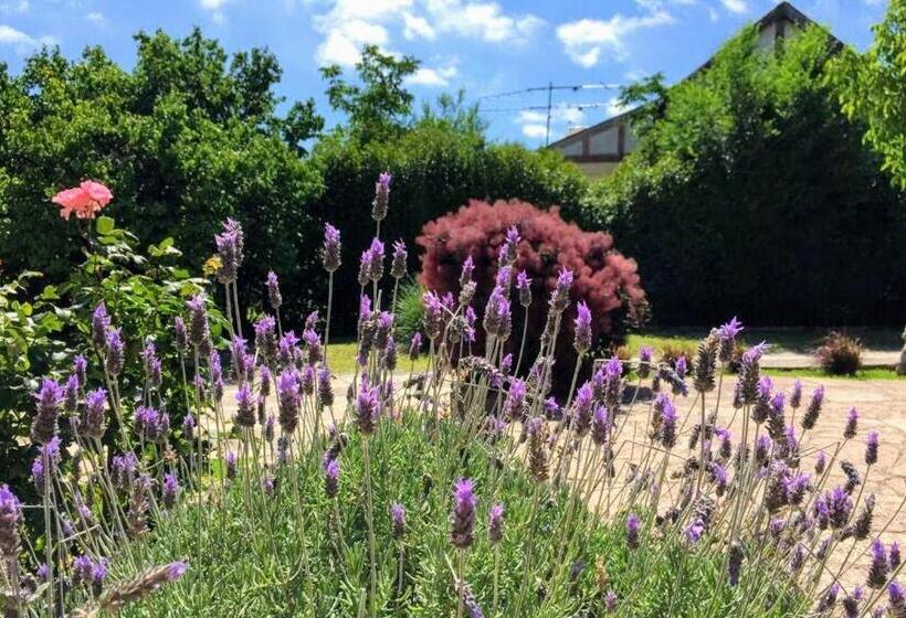 Общежитие Hostería La Viña