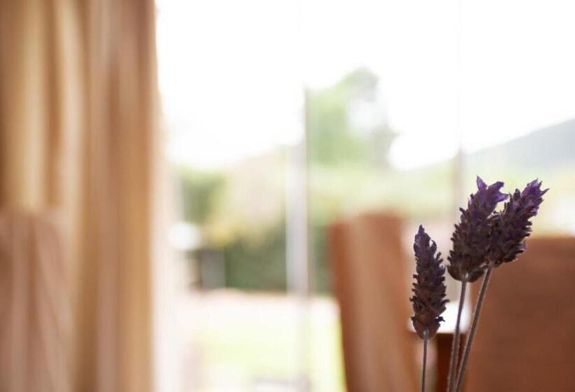 Общежитие Hostería La Viña