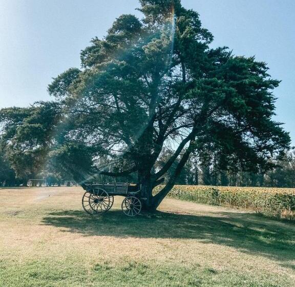 Общежитие La Norita