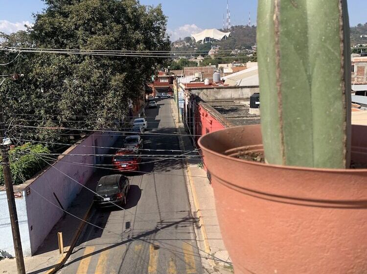 هاستل Posada Regional