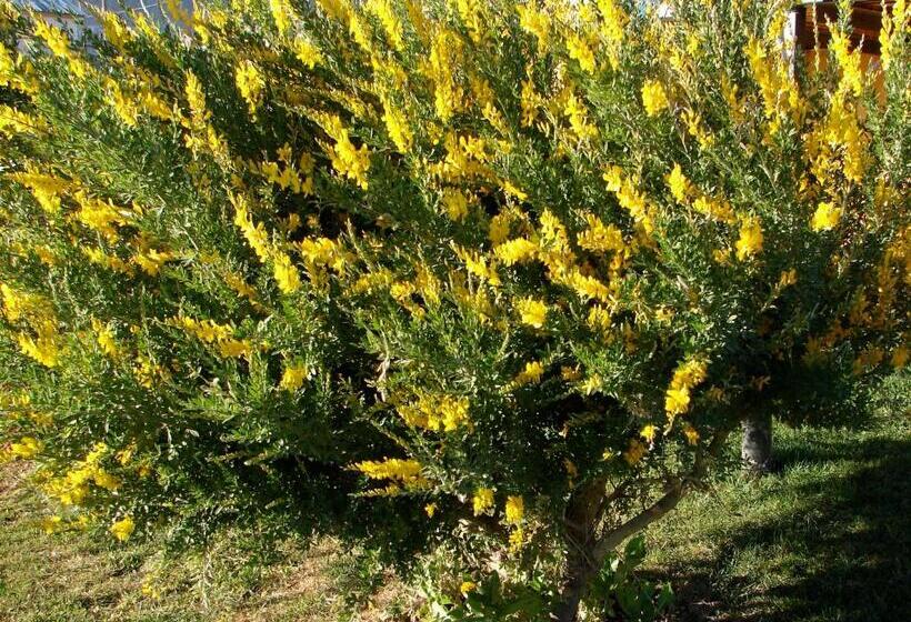 Cabañas Marias Del Sur