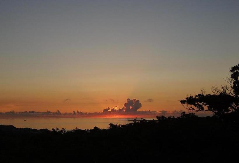 פנסיון Asahinoyado Shidakaji