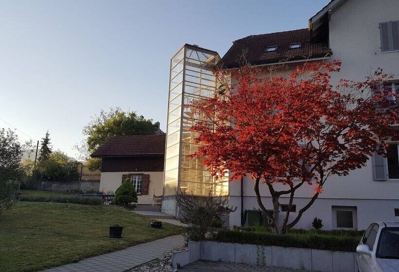 بنسيون Casa Carmela