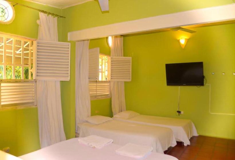 膳宿费 Casamarilla