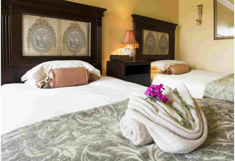 פנסיון De Ark Guest House