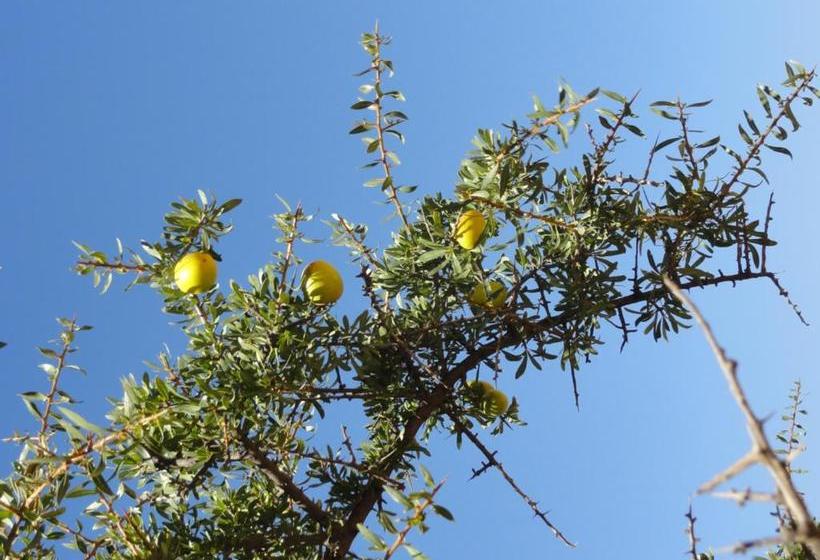 پانسیون Elmalara