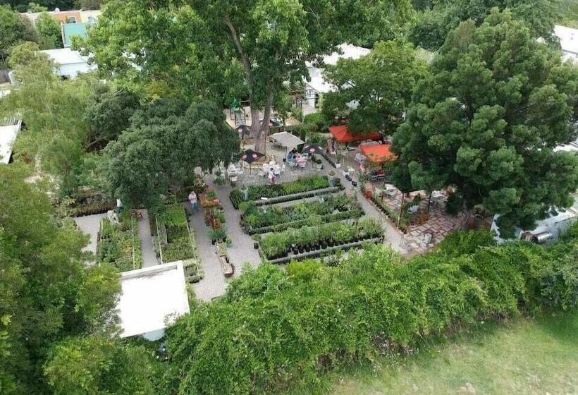 بنسيون Fiore Guest Accommodation