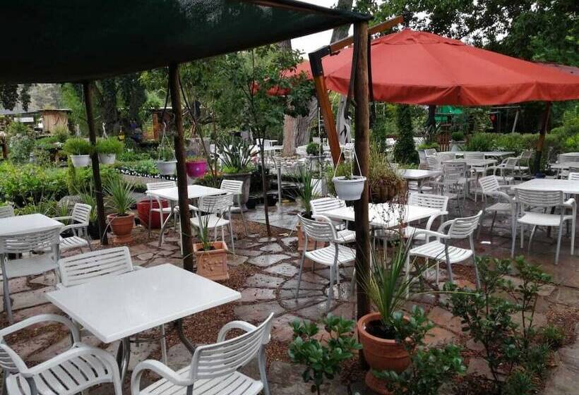 بنسيون Fiore Guest Accommodation