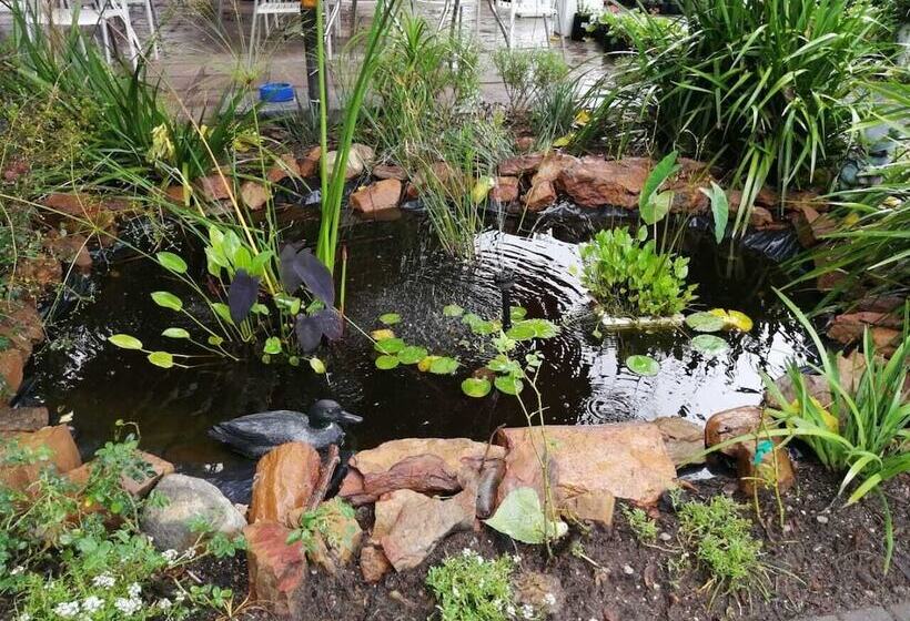 بنسيون Fiore Guest Accommodation