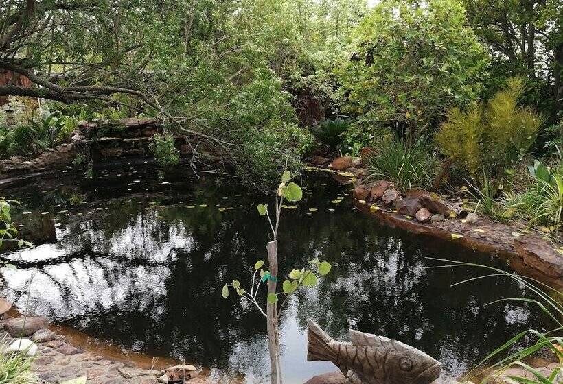 بنسيون Fiore Guest Accommodation