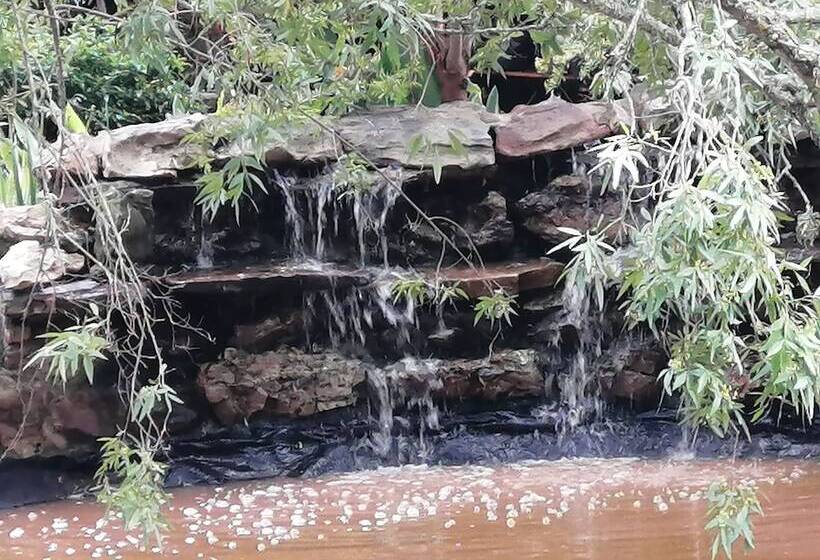 بنسيون Fiore Guest Accommodation