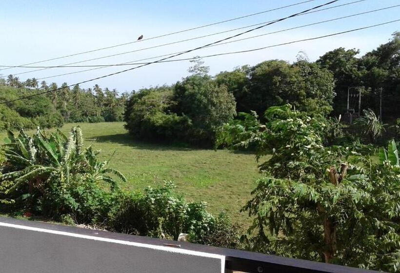 بنسيون Green View Guest