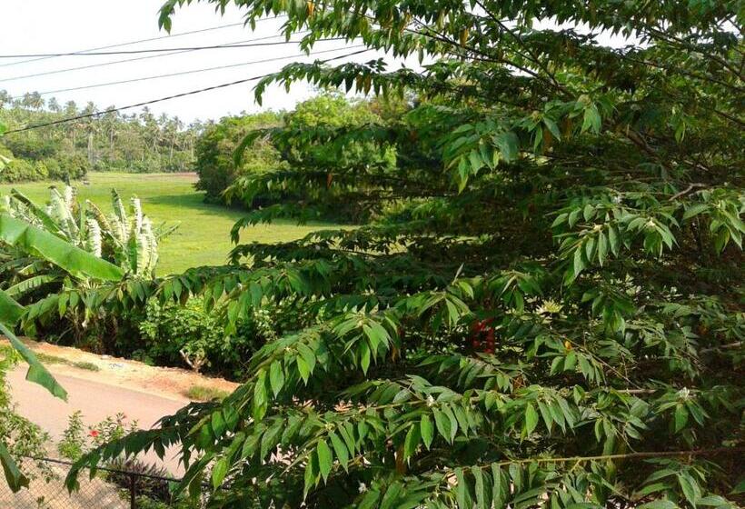 بنسيون Green View Guest