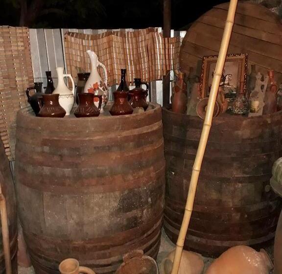 پانسیون Guest House Gzirishvili