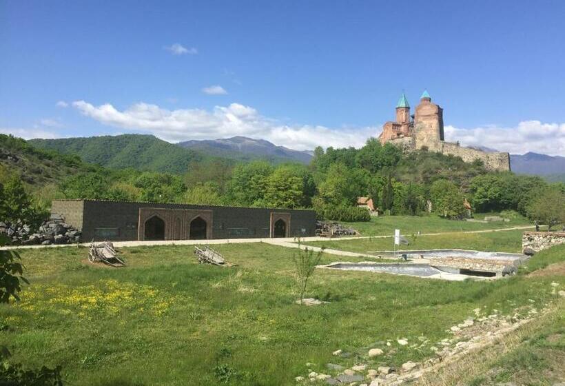 پانسیون Guest House Gzirishvili