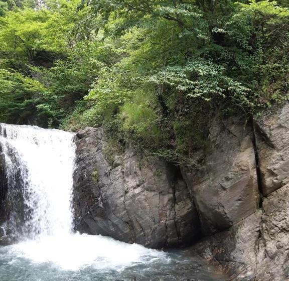 پانسیون Guest House Gzirishvili