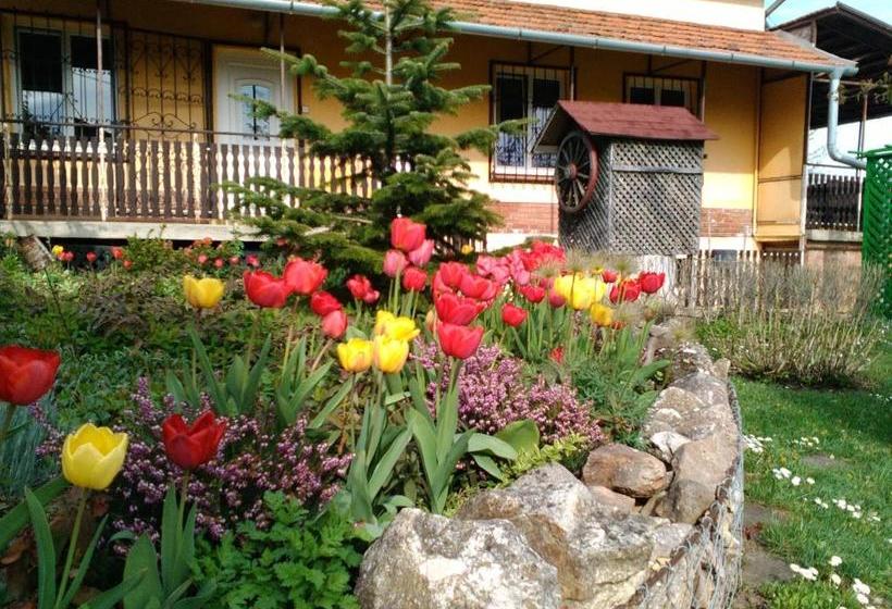 פנסיון Kútvölgy Vendégház