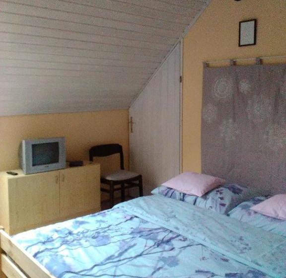 פנסיון Kútvölgy Vendégház