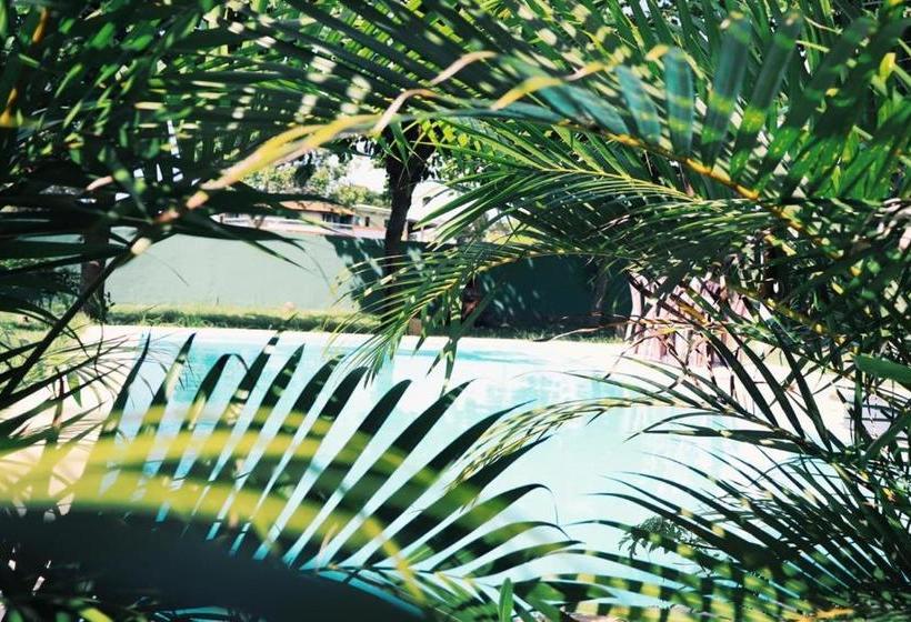 פנסיון Suite De Férias