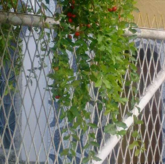 膳宿费 Meu Quarto No Rio De Janeiro