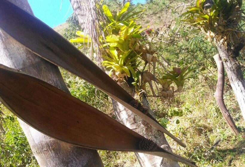 膳宿费 Pousada 7 Estrelas