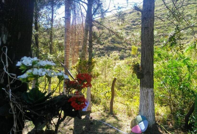 膳宿费 Pousada 7 Estrelas