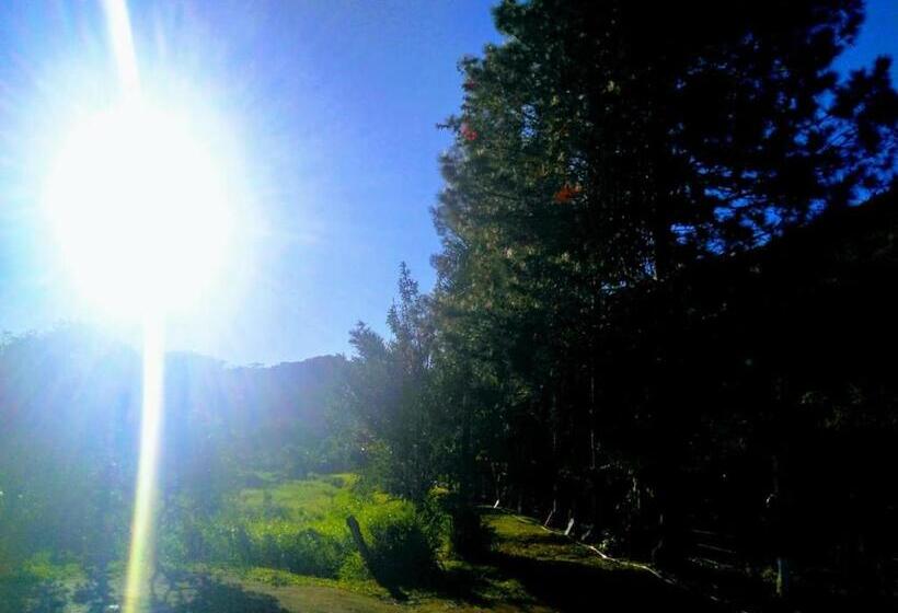 膳宿费 Pousada 7 Estrelas