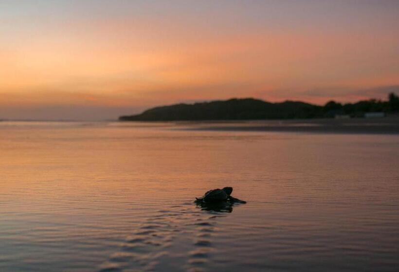 펜션 Red Pepper Popoyo